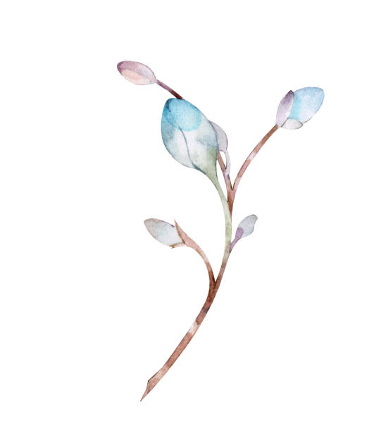 istock a drawing of a plant with the word  the  blue  on it. 2185194210