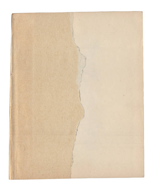 istock Vintage background of old ancient torn paper texture isolated 2185195296