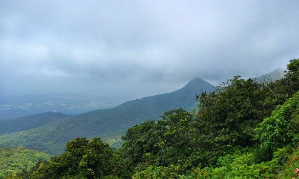 istock A beautiful landscape with green mountain and cotton cloud. Parasnath Hill situated at Jharkhand in India 2185196193