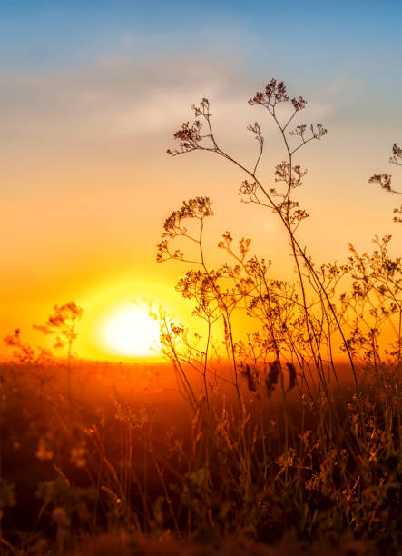 Beautiful sunrise scenery, Mountain sunset, beautiful sunrise and sunset scenery