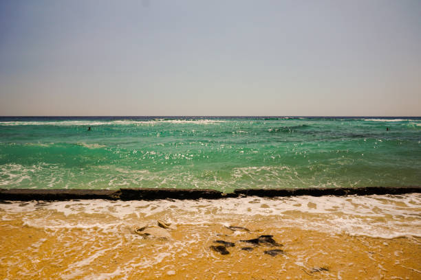 Experience the beauty of the Gili Islands with clear blue waters, coral gardens, and laid-back vibes. Snorkel, dive, or simply relax by the beach. With no cars, the islands offer a peaceful retreat. Gili Trawangan is lively, Gili Meno is quiet, and Gili Air has the best of both. It’s the ultimate destination for a tranquil yet exciting tropical holiday.