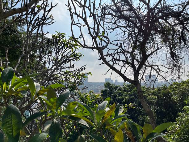 istock The landscape of Vung Tau 2185202932