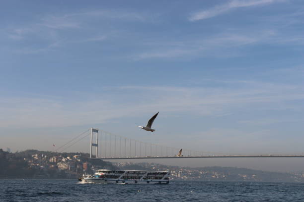 istock Passenger ferry and seagull on the Bosphorus, Istanbul 2185204154