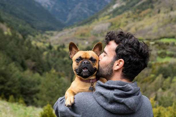 Happy traveling man kissing cute dog in highlands Back view of content male hiker sitting on rock kissing French Bulldog during adventure in Pyrenees mountain range spanish bulldog stock pictures, royalty-free photos & images