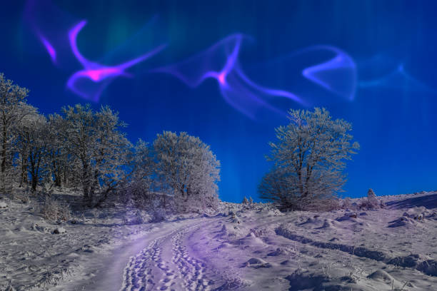 A mesmerizing view of the northern lights glowing vibrantly over a snow-covered winter landscape with tire tracks. The serene scene captures the beauty and tranquility of nature at night.