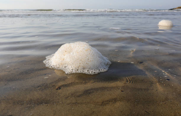 istock white foam on the seashore created by waves on saltwater 2185208674