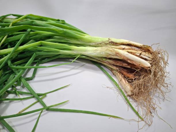 istock a bunch of whole spring onions with a white background 2185209190