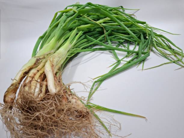 istock a bunch of whole spring onions with a white background 2185209204