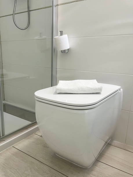 istock White ceramic toilet bowl by shower in modern bathroom interior 2185209591