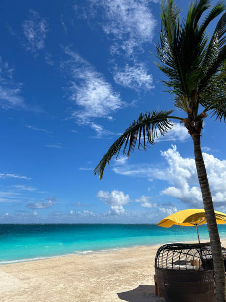 A tranquil Caribbean beach features a tall palm tree beside bright turquoise waters. A sunbed under a yellow umbrella invites relaxation as fluffy clouds drift above.