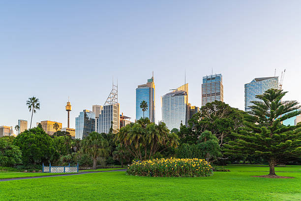 istock Vibrant Sydney City skyline at sunset 2185211125