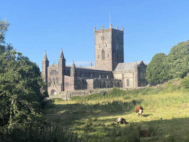 istock A view of St David's Cathedral 2185211879