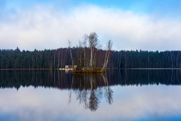 Scenic view of lake in forest against sky