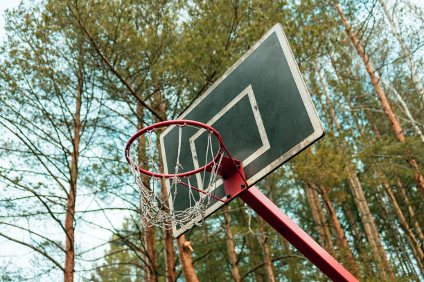 istock A basketball net is hanging from a tree 2185213857