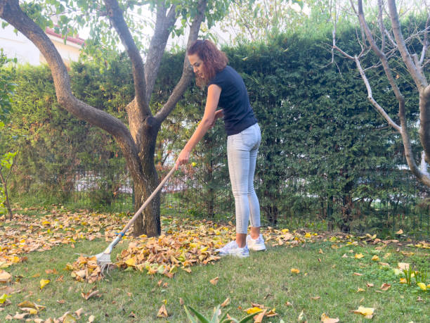 istock Woman cleaning the backyard from fallen leaves 2185213984