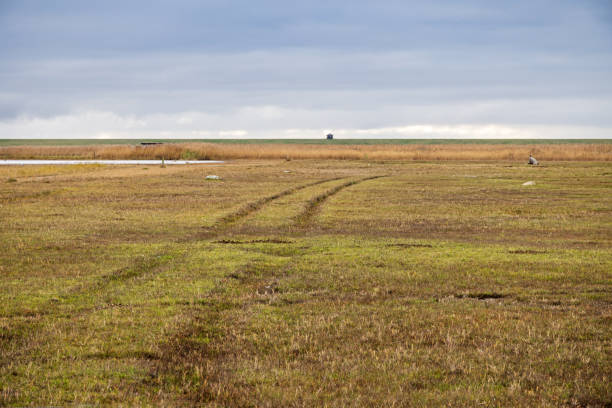 istock Flat swampy landscape with puddles on a sunny autumn day 2185214183