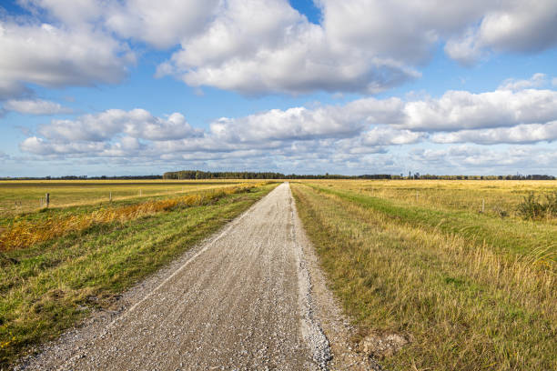 The picture is taken at Kalvebod Fælled - Kalvebod Commons, which is a nature area and public park close to the center of Copenhagen and are utilized for grazing cattle. It is a very low and flat area that is a popular area for bird watchers