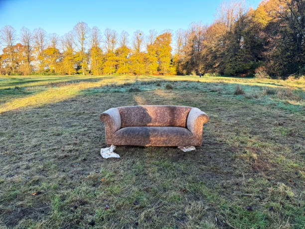 istock Furniture left in a field 2185216910