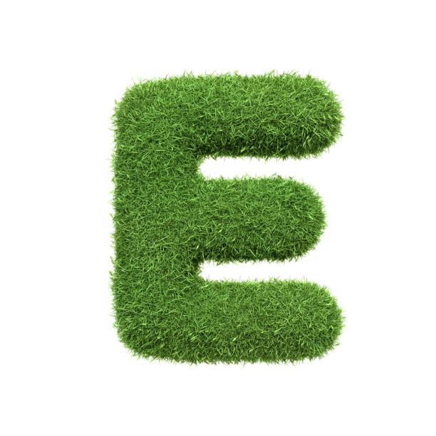 istock Capital letter E shaped from lush green grass, isolated on a white background 2185216936