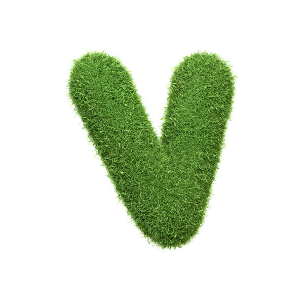 istock Capital letter V shaped from lush green grass, isolated on a white background 2185216938
