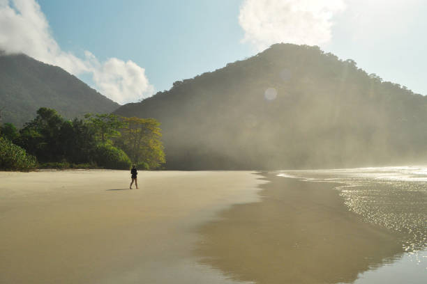 istock Sunrise in the beach 2185217208