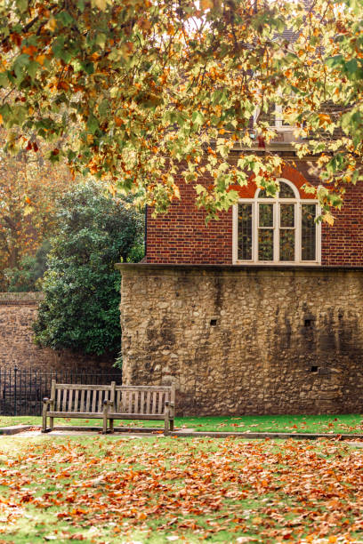 istock A solitary empty bench in a park in autumn 2185217562