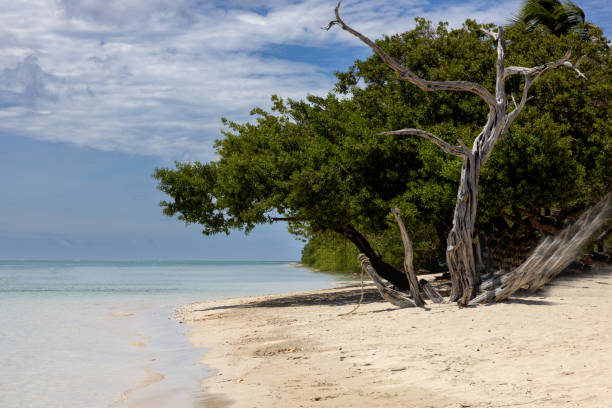 istock No Mans land  Trinidad and Tobago 2185220556
