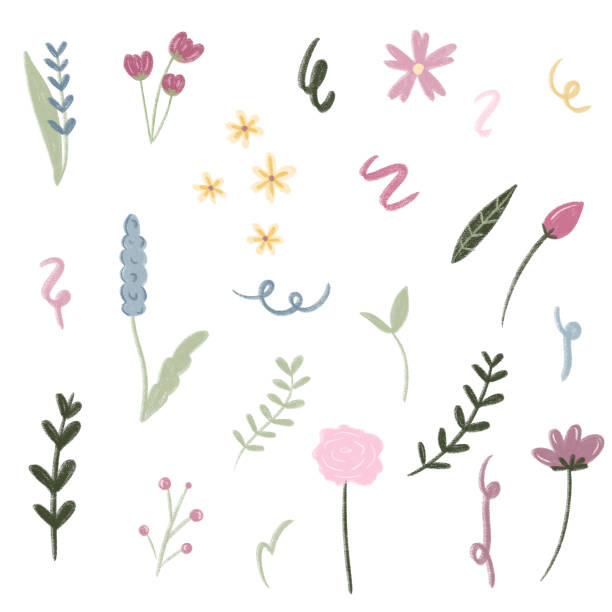 istock a collection of different flowers and leaves.doodle style pastel color collection 2185222662