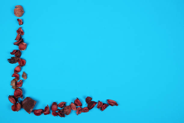 istock Minimalist Composition of Red Potpourri on Blue Background in L-Shape Design – Creative and Colorful Arrangement for Seasonal or Aromatherapy Themes 2185223608