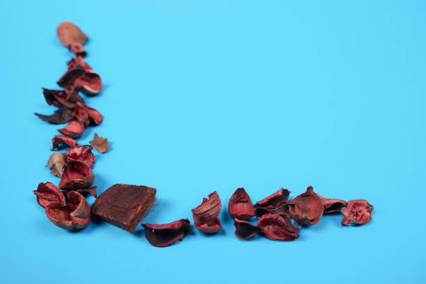 istock Minimalist Composition of Red Potpourri on Blue Background in L-Shape Design – Creative and Colorful Arrangement for Seasonal or Aromatherapy Themes 2185223798