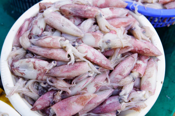 A vibrant display of freshly caught small squids on a market table, showcasing their unique colors and textures, perfect for culinary and seafood inspirations.