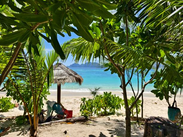istock A serene and beautiful tropical beach paradise featuring traditional boats 2185228764