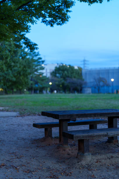 istock Material of a park bench at dusk in winter. 2185231821