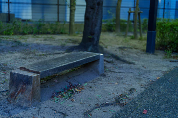 Material of a park bench at dusk in winter.