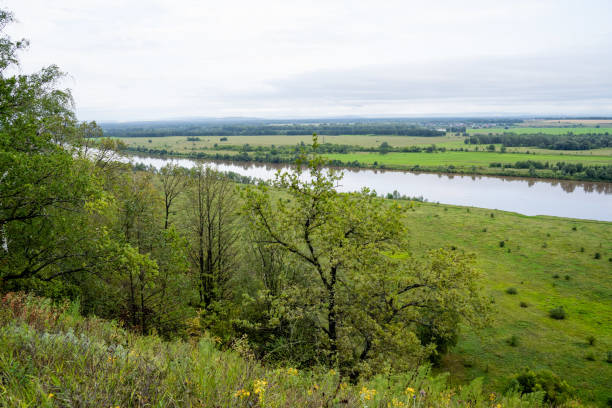 istock A river flows through a lush green field surrounded by tall trees 2185235966