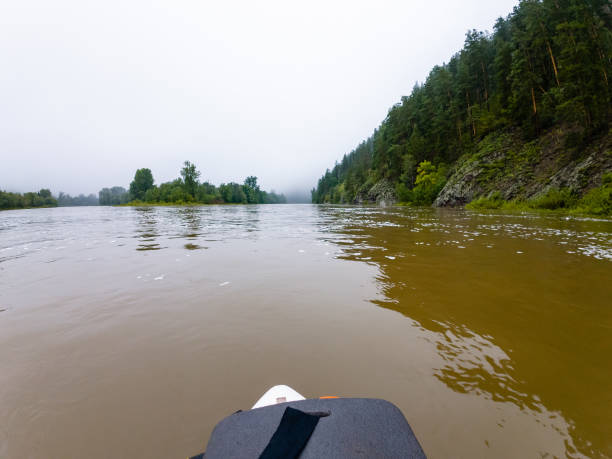istock An enthusiastic individual joyfully kayaks down a beautifully winding river, skillfully navigating through the stunning scenery that is filled with vibrant and lush flora and unique fauna 2185236128