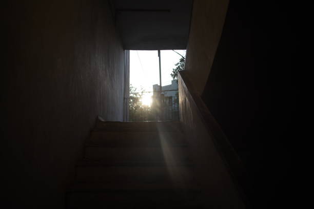 Beautiful Sunsets and Birds in India