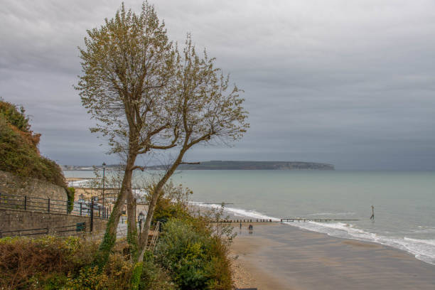 Coastal views from Shanklin Chine, Isle of Wight