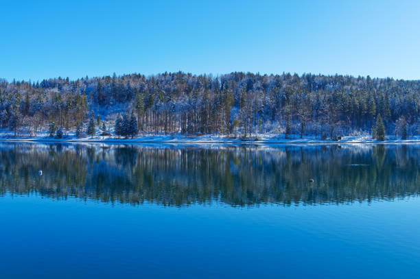 Winterlandscape at a lake with mirroring, reflections and blue sky in Bavaria, central Europe