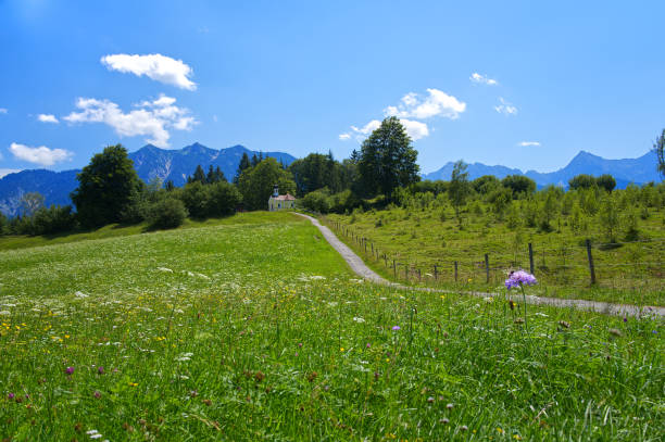 Chapel between the field, the forests and the mountains under the blue sky in summer