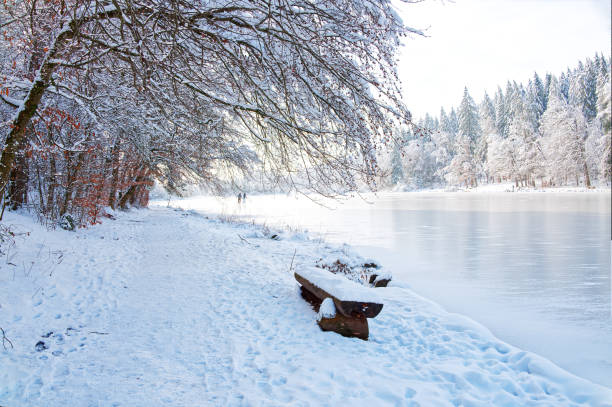 Winter scenic with a bench an the lake's shore in white