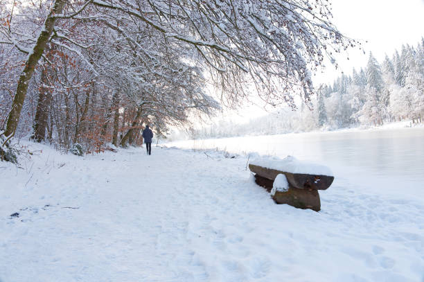 istock Winter scenic with a bench an the lake's shore 2185245736