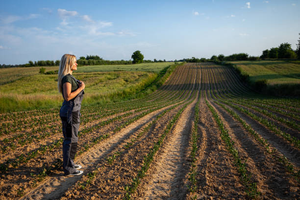 istock Smiling Female Farmer Observing Crops and standing in Sunlit Field 2185246046
