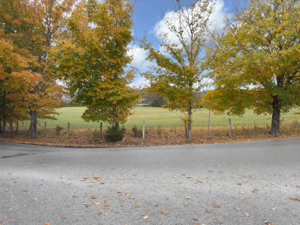istock Autum Country Field 2185246301