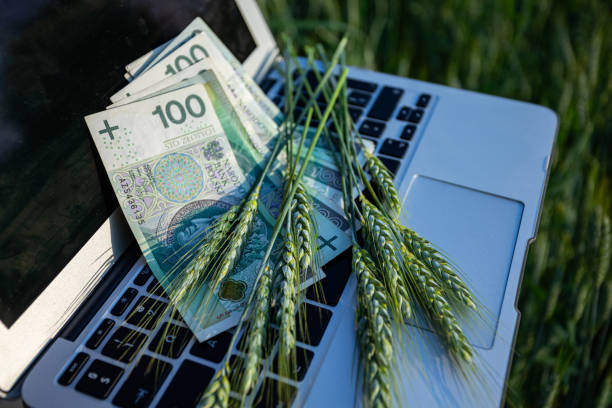 Monetary Growth Exploring the Interconnection of Money and Agriculture Utilized on a Laptop
