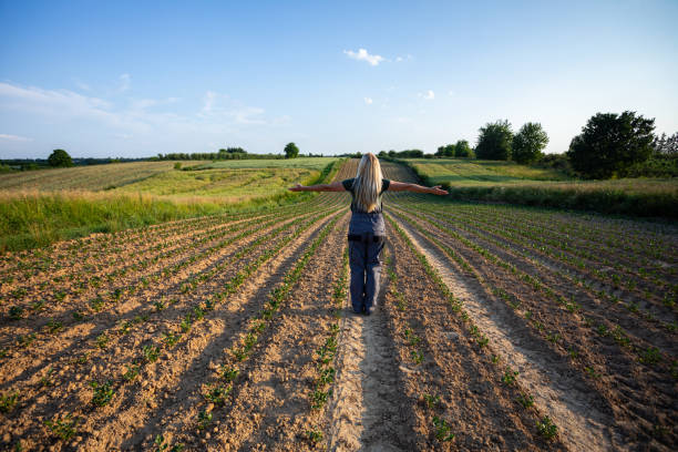 istock A Person Walking Through a Lush Field During a Beautiful Sunset with Scenic Background 2185249632