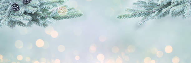 Mary Christmas ,New Year,background,fir tree,card