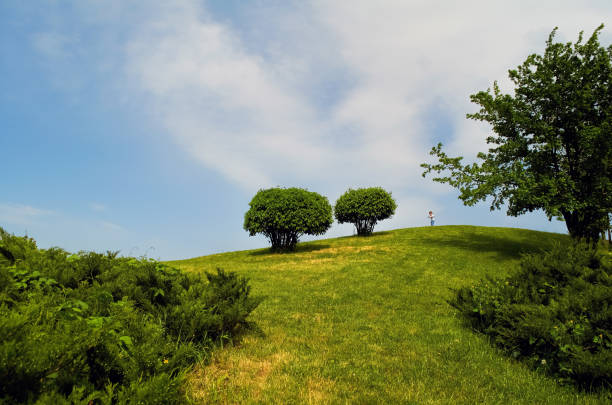 istock Beautiful hill with bushes and a boy with butterflies 2185251366
