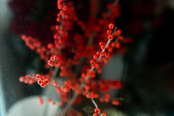 Illuminated Flowers in a Flower Shop Window at Night