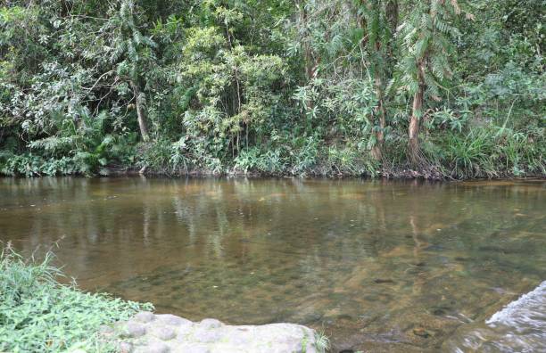 istock River of a Thousand Lingas - Cambodia 2185253422